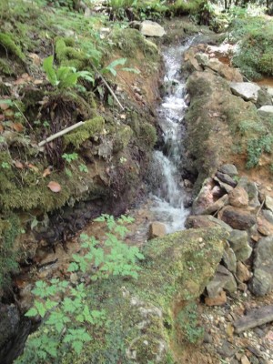 DSC03577.JPG