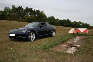 IMG_5250.JPG