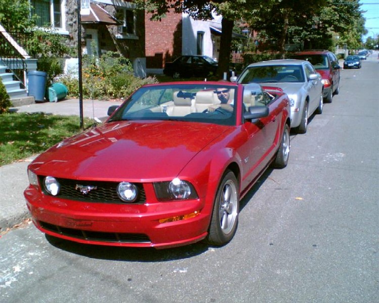 Mtl mustang (Medium).jpg