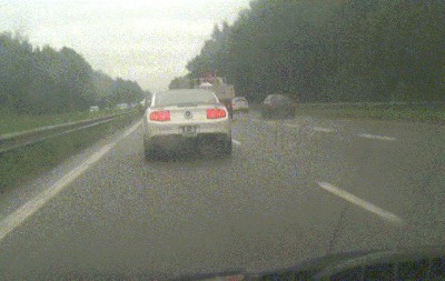 stang.jpg