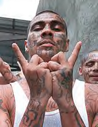 ms13.jpg1..jpg