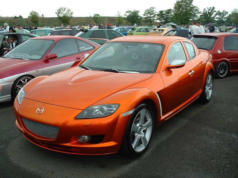 484.jpg