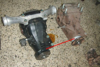 GEDC1183 8x6.JPG