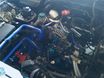 2011-12-10 15.00.46.jpg