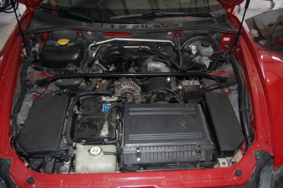 DSC_0100_redimensionner.JPG