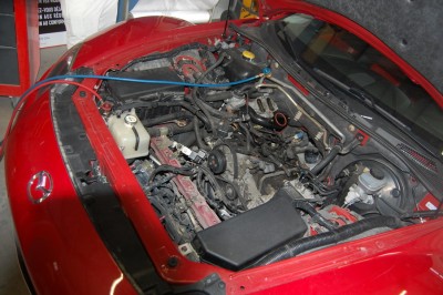 DSC_0143_redimensionner.JPG