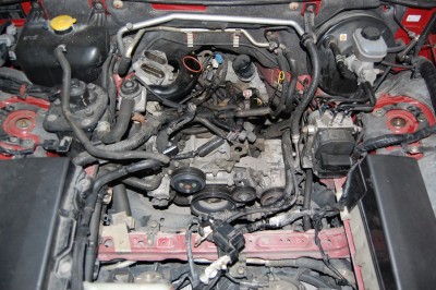 DSC_0148_redimensionner.JPG