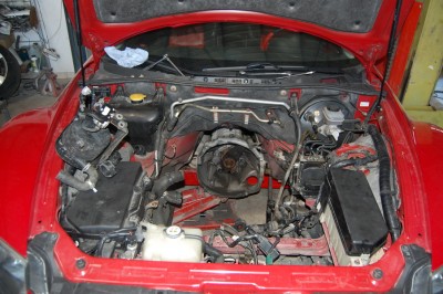 DSC_0179_redimensionner.JPG