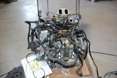 DSC_0183_redimensionner.JPG