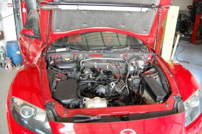 DSC_0204_redimensionner.JPG
