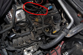 DSC_0132_redimensionner_redimensionner.JPG