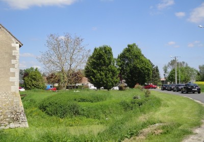 DSC05104.JPG