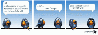 image004.gif