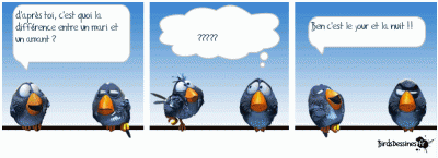 image005.gif