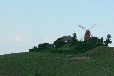 IMG_9572.JPG