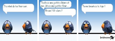 Sans titre.jpg