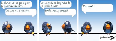 Sans titre2.jpg
