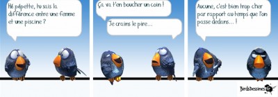 Sans titre3.jpg
