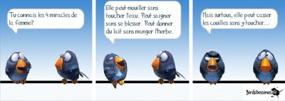 Sans titre5.jpg