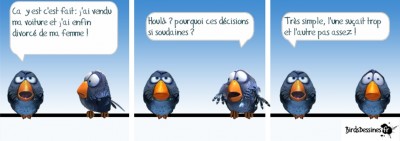 Sans titre6.jpg