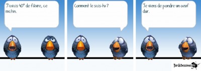 Sans titre7.jpg