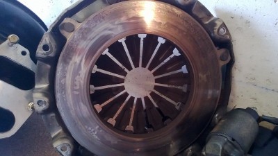 WP_20130529_010.jpg