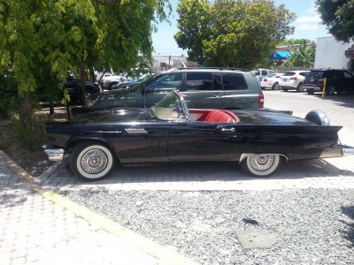 Thunderbird