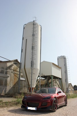 cochonnier 9.jpg