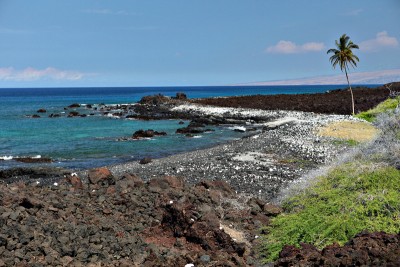 OnTheBigIsland.Nov2013.jpg