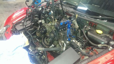IMAG0340.jpg