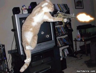 chat-matrix[1].jpg