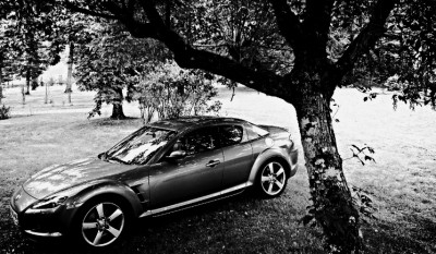 rx81.jpg