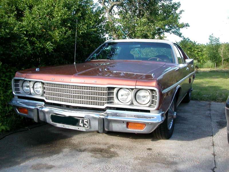 Dodge5 small small.jpg