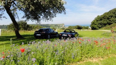 RX8-concours-08-2016.jpg