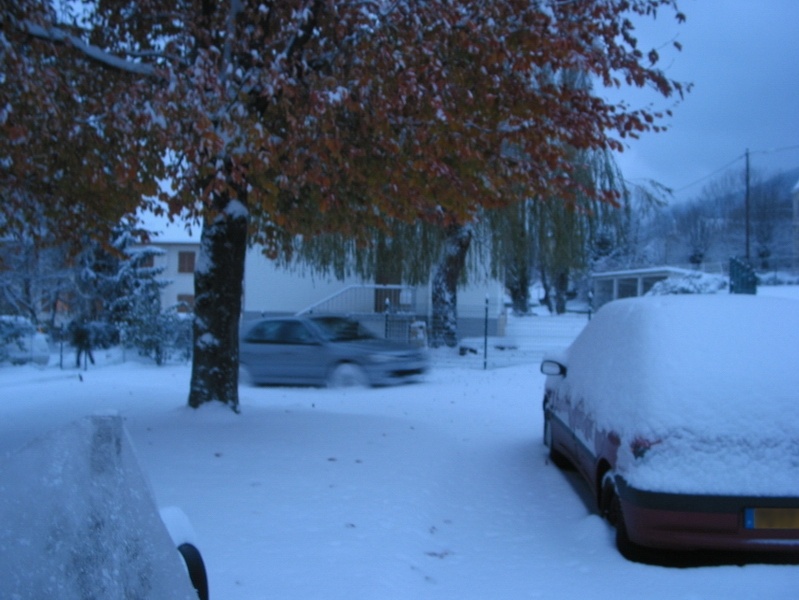 R-251-5168_img1.jpg