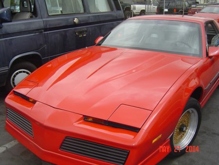FIREBIRD1.jpg