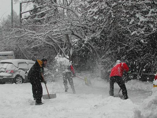 n4 bataille de neige.JPG