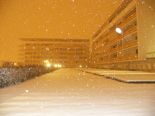 PICT0007.jpg