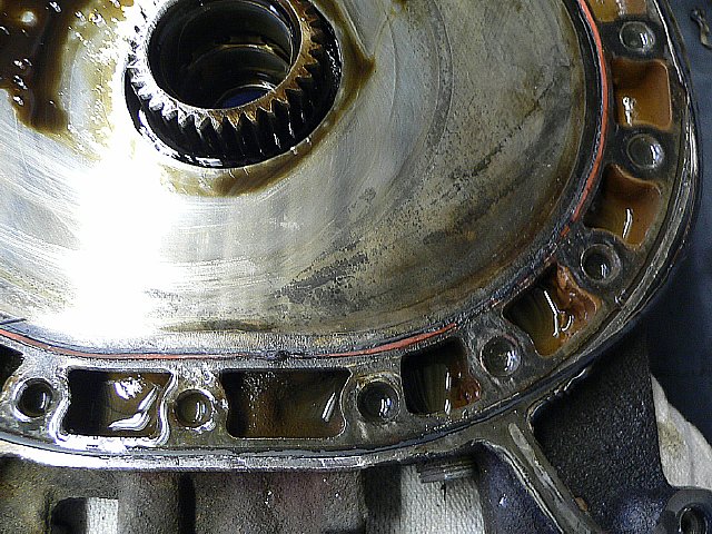 P1010617.JPG