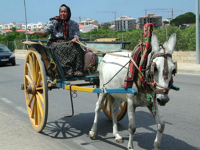 Albufeira 15.jpg