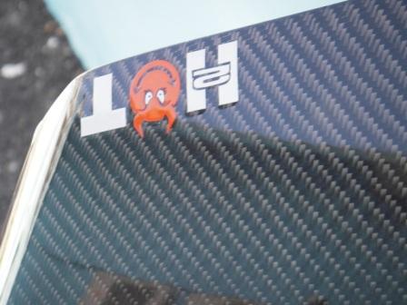 IMGP0316.1.JPG