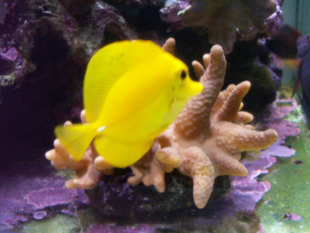 PICT0006.JPG