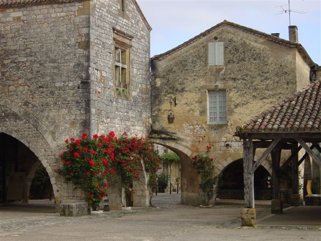 DSC02554.JPG
