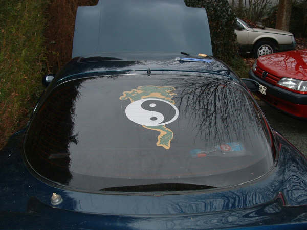 RX Ying yang 01.jpg