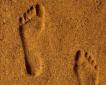 traces.jpg