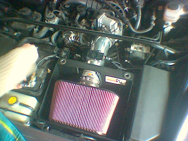 image_00010.jpg