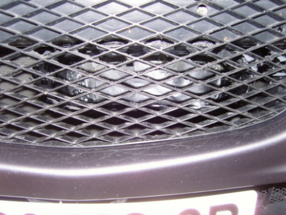 SNC10510.JPG