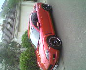 SP_A0274.jpg