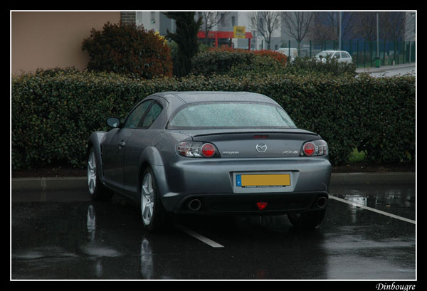 DSC_3091.JPG