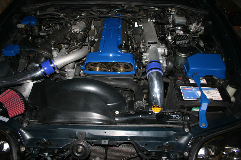 IMG_1338 800x800.jpg